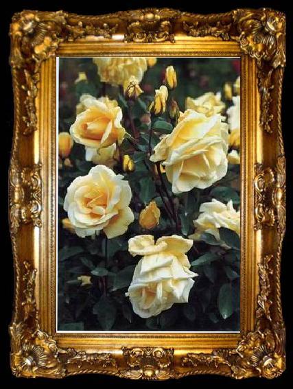 framed  unknow artist Still life floral, all kinds of reality flowers oil painting  318, ta009-2